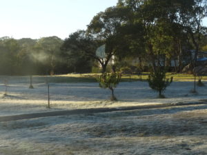 Frosty mornings